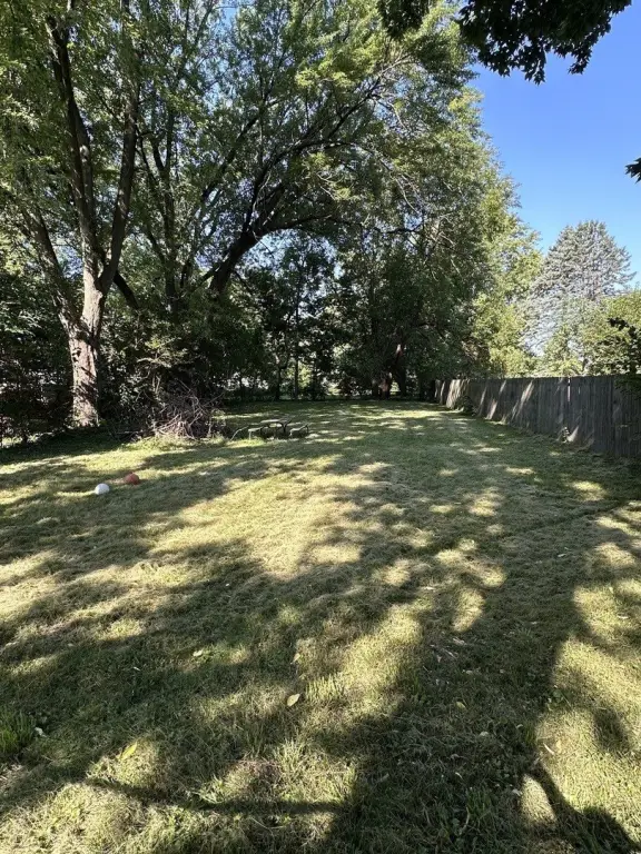 Picture 14