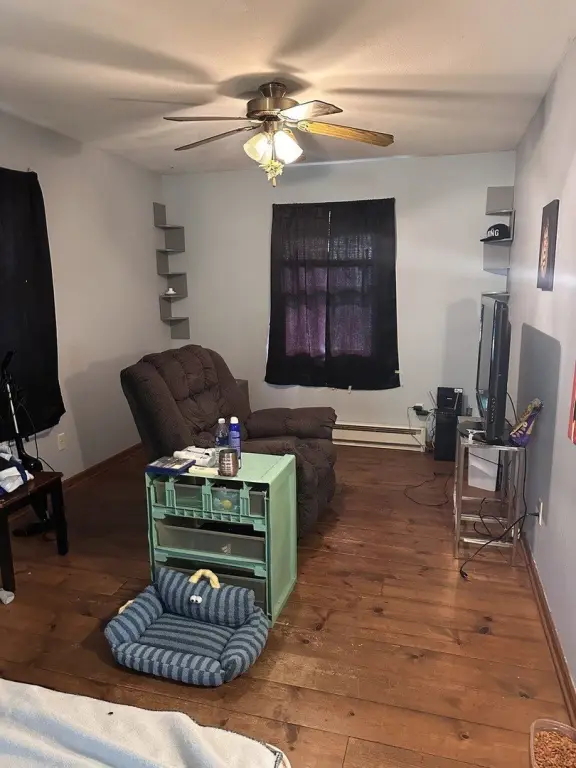 Picture 5