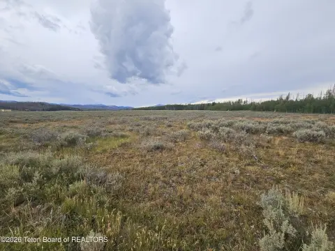 Mountain-View Hunting Land