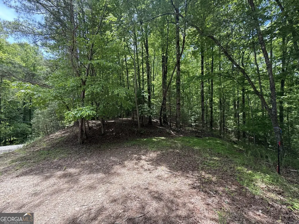 Picture 4