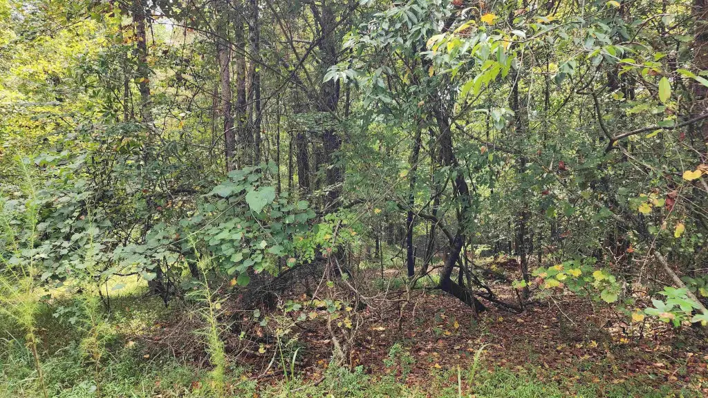 Picture 28