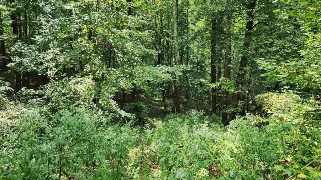 Picture 49