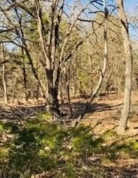 30 Acres of Country Living