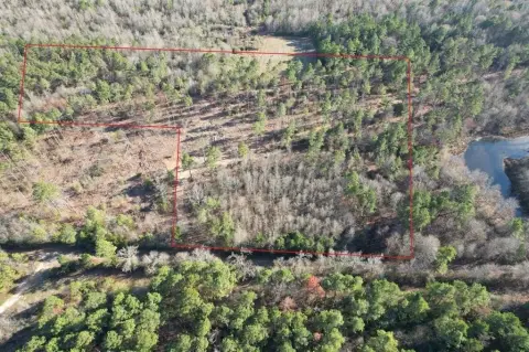 12 Acres of Land in Beckville, TX