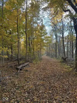 10-Acre Wooded Residential Lots