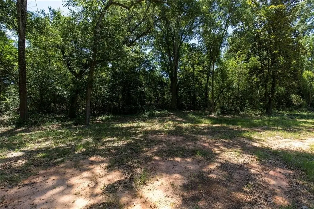 Picture 26