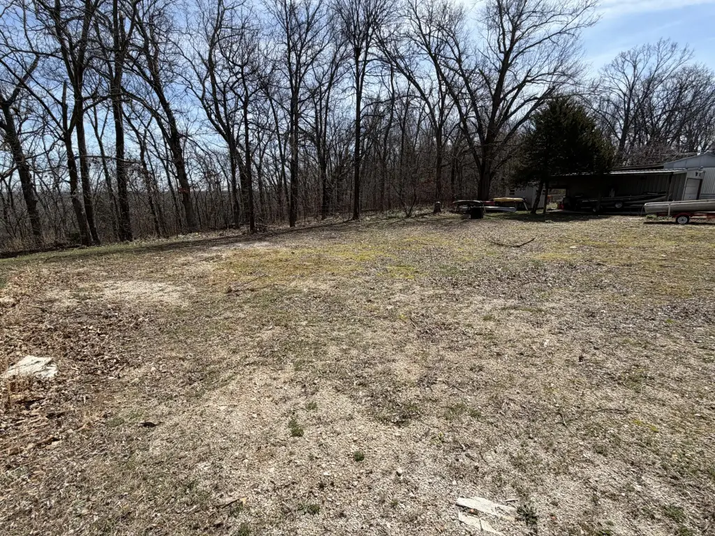 Picture 5