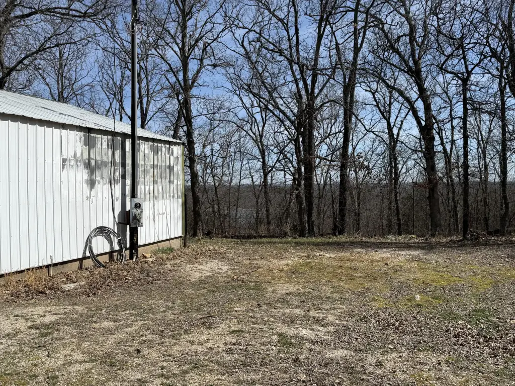 Picture 6