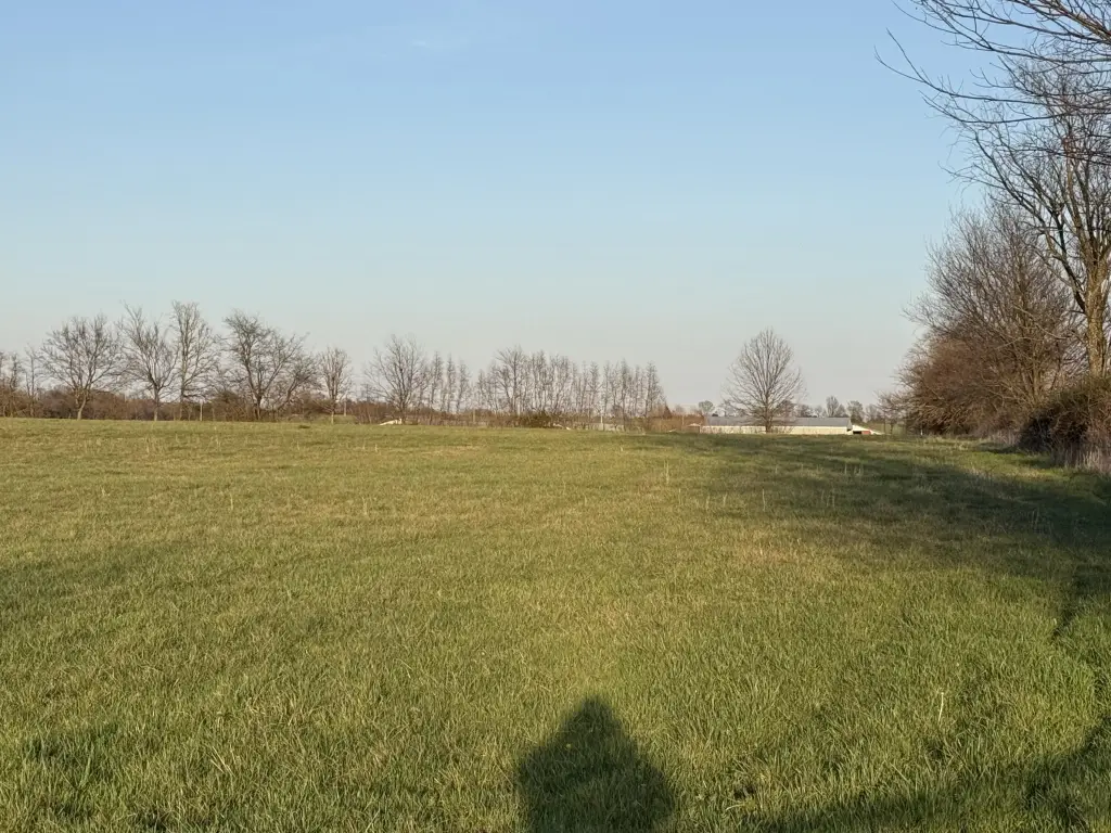 Picture 14