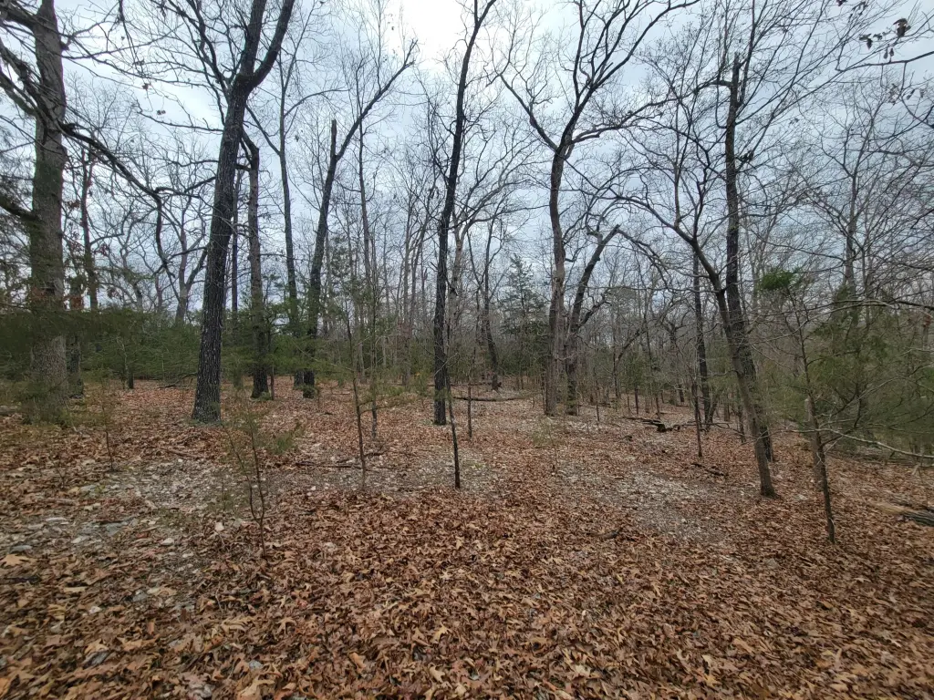 Picture 3