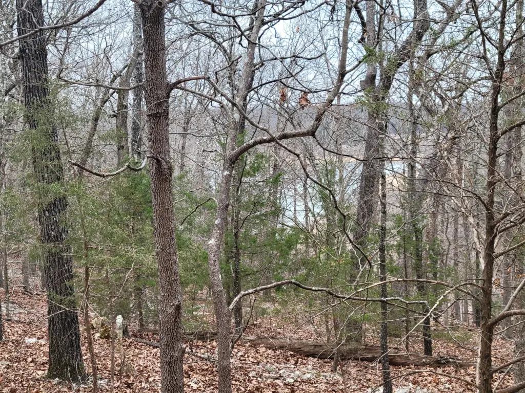 Picture 5