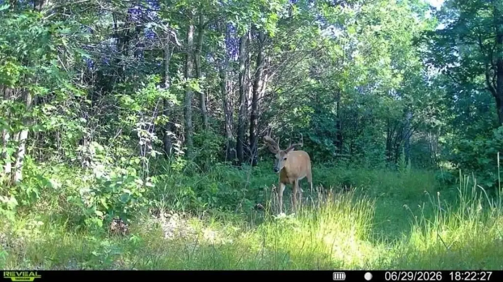 Picture 6