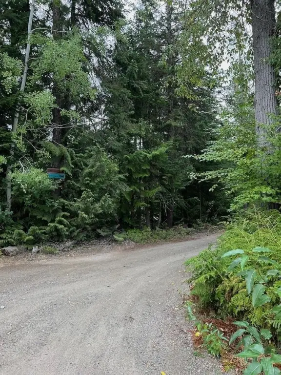 Picture 4