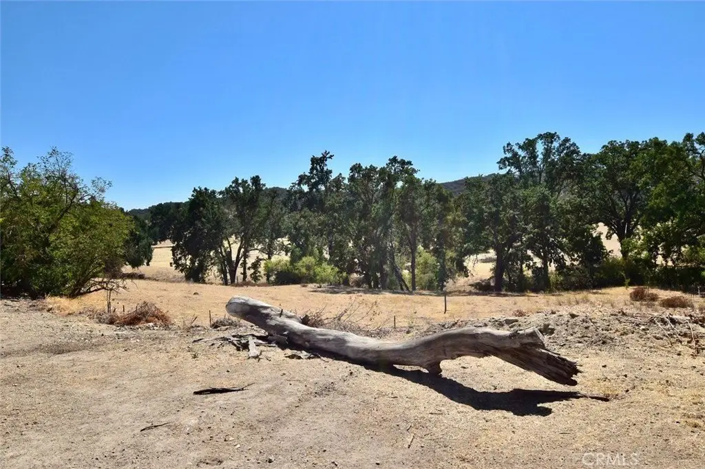 Picture 49