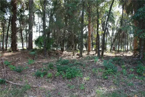 Residential Land in Crystal River