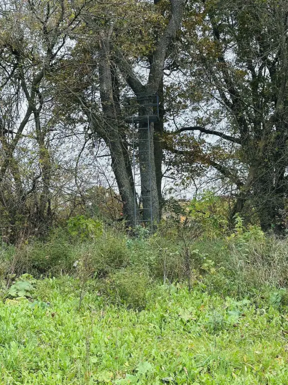 Picture 10