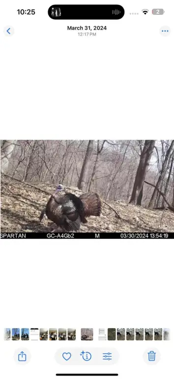 Picture 17