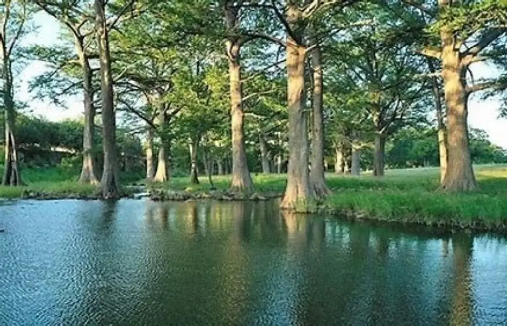 Picture 7