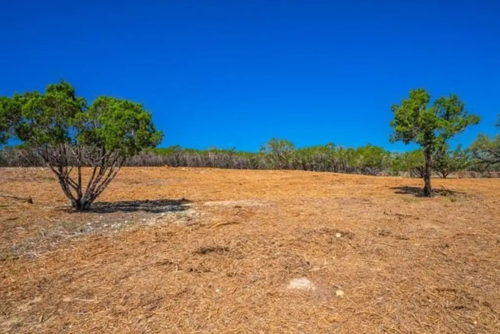 Picture 14