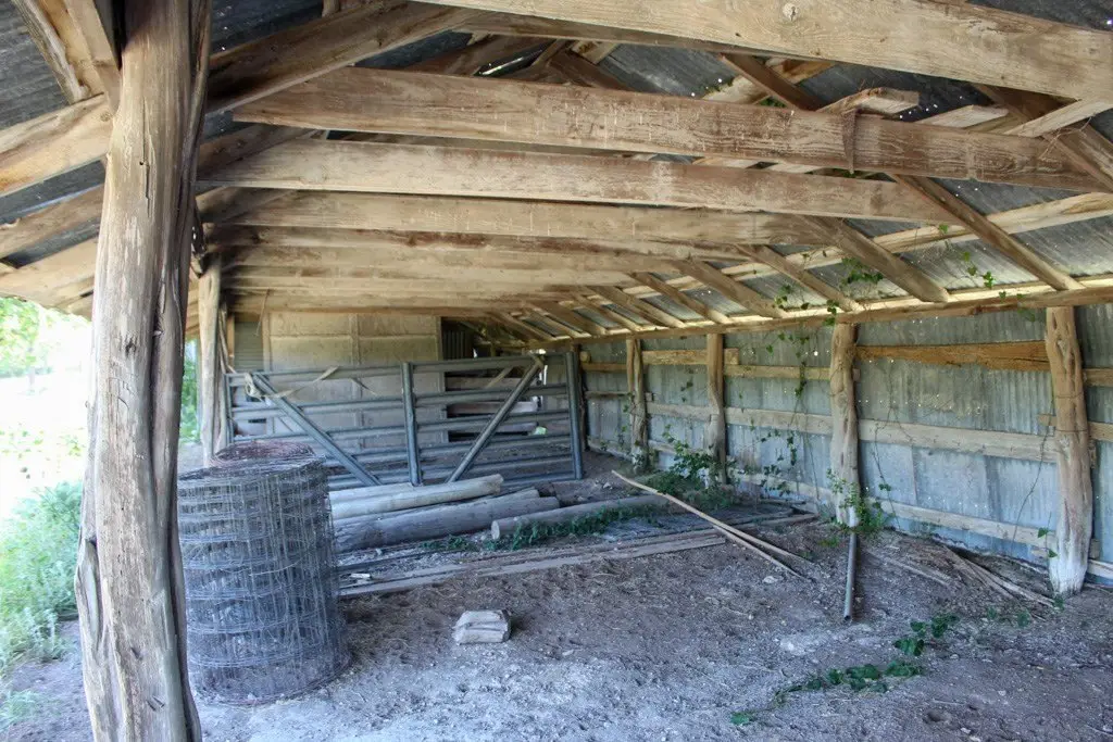 Picture 12