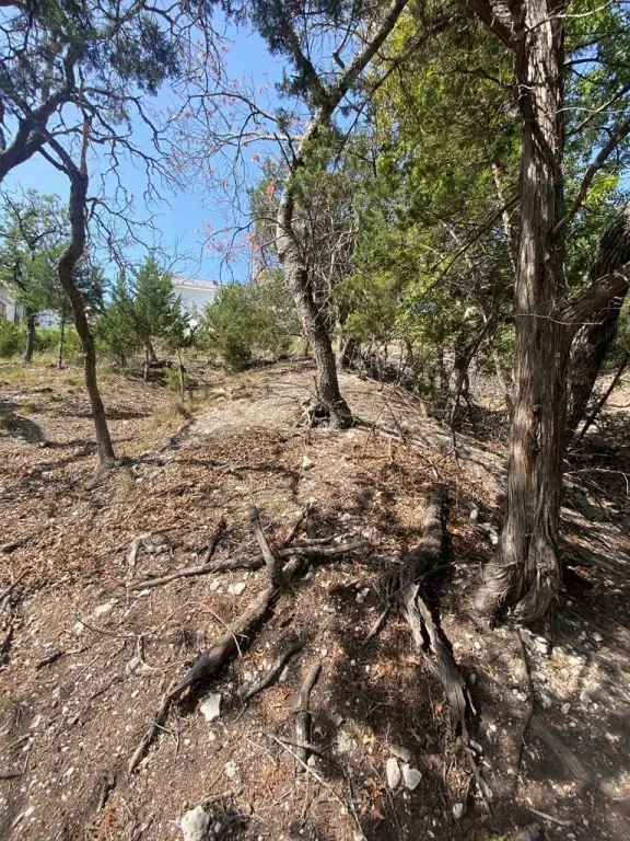 Picture 9
