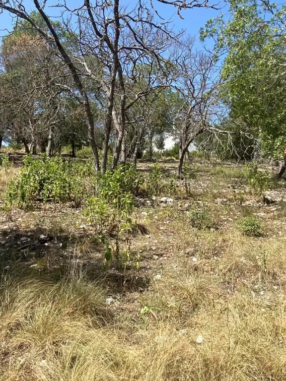 Picture 11