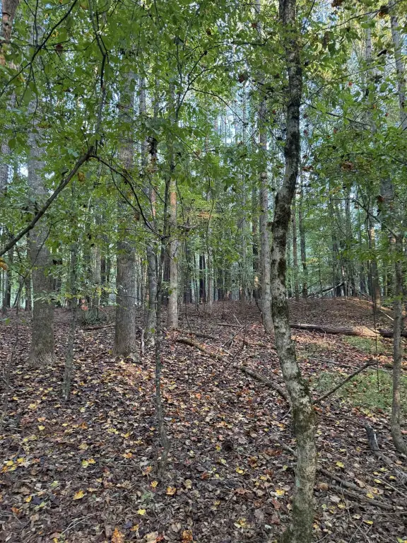 Picture 16
