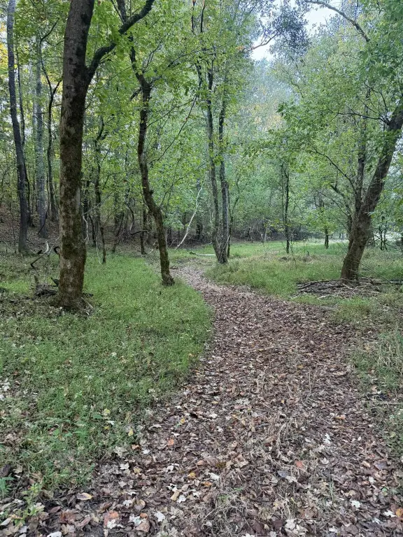 Picture 11