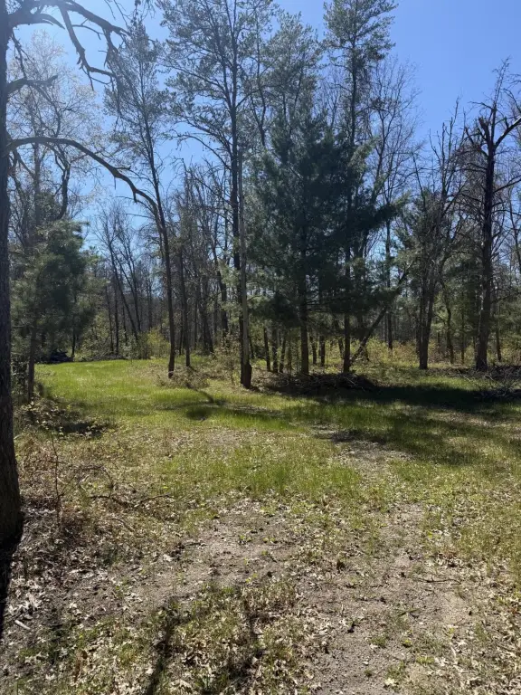 Picture 18