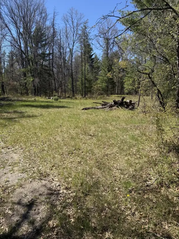 Picture 17