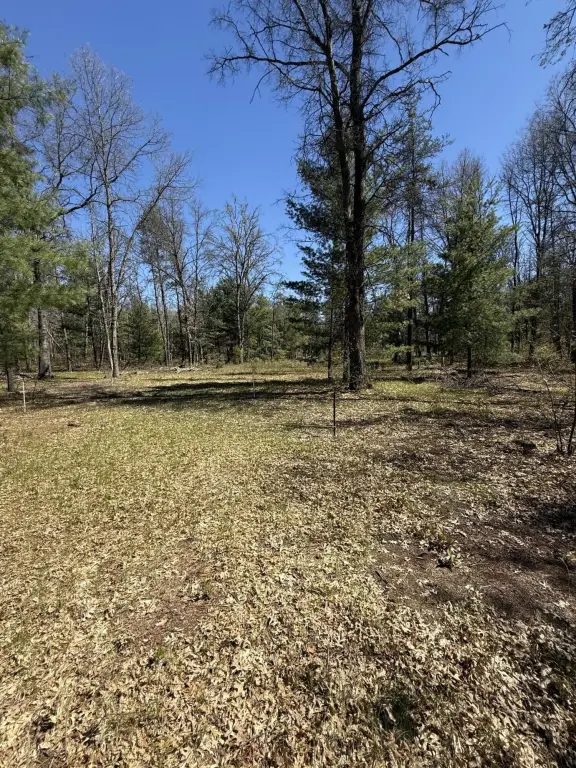 Picture 15