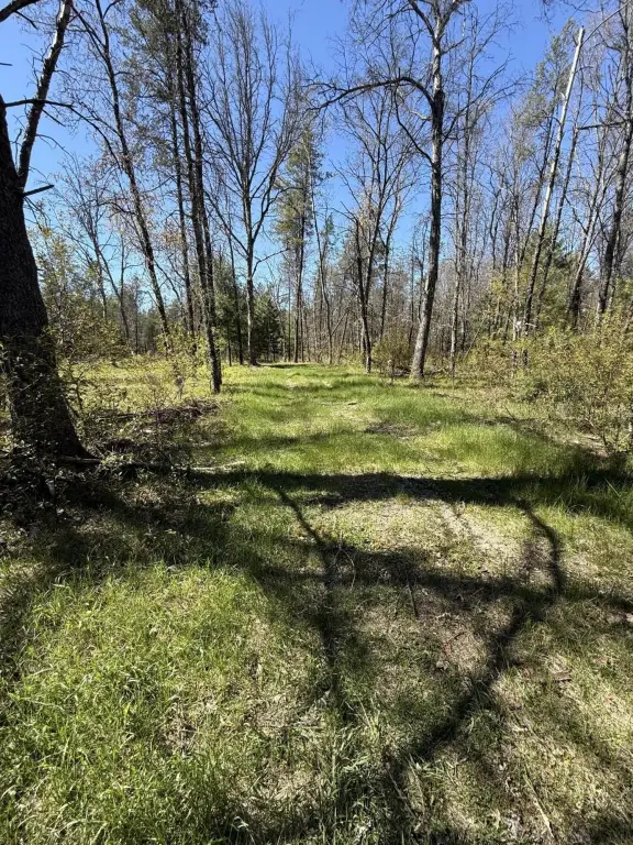 Picture 11