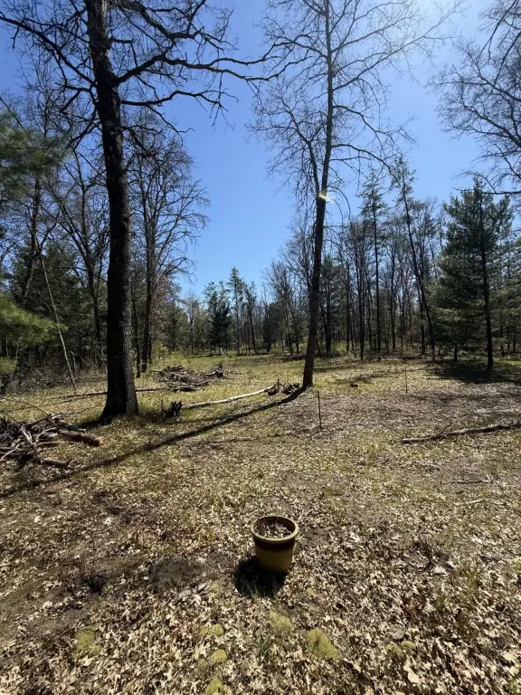 Picture 19
