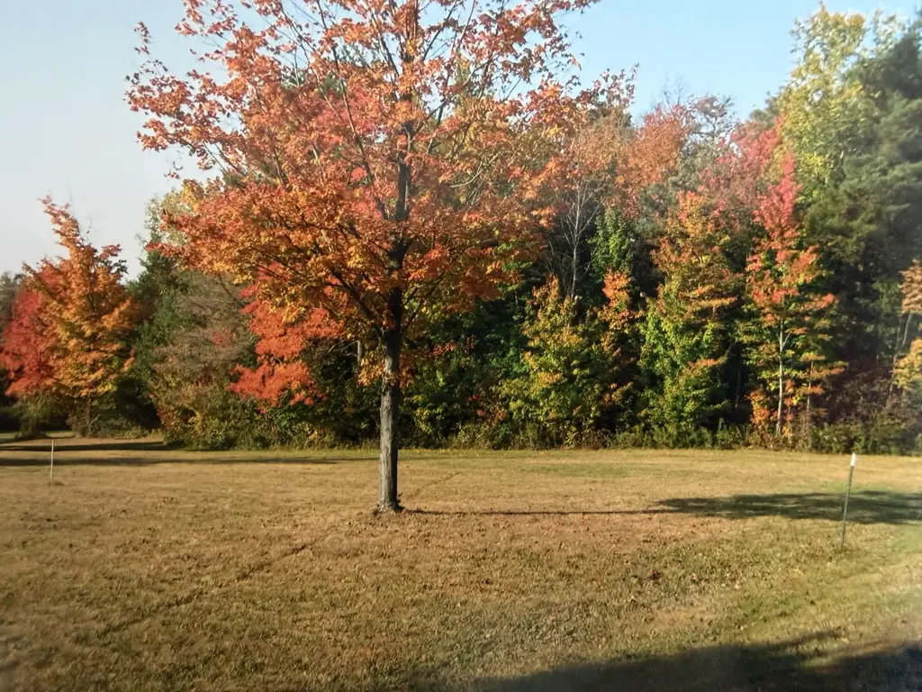 Picture 19