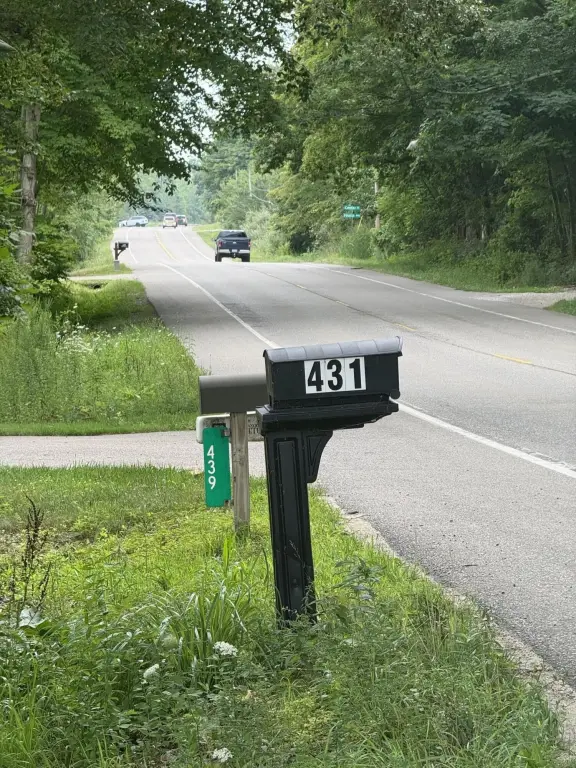 Picture 5