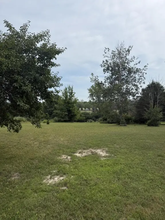 Picture 2