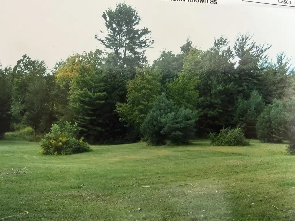 Picture 17