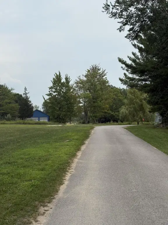 Picture 8