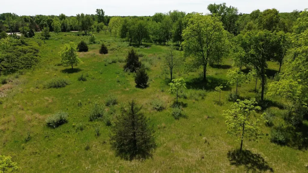 Picture 22