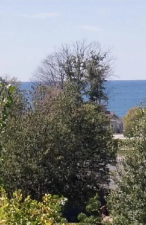 Picture 21