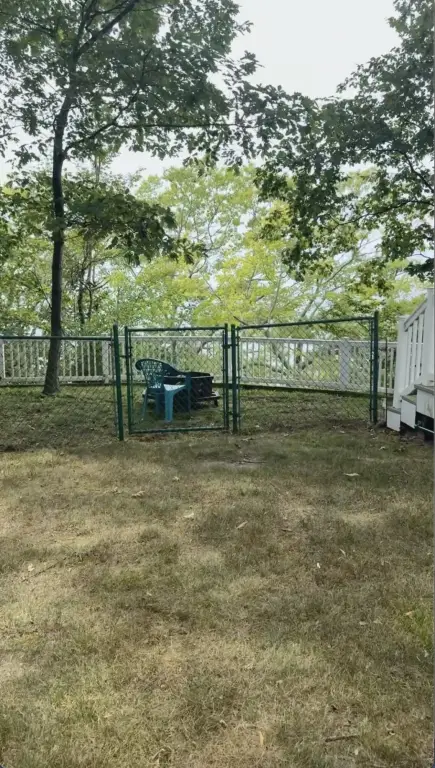 Picture 7