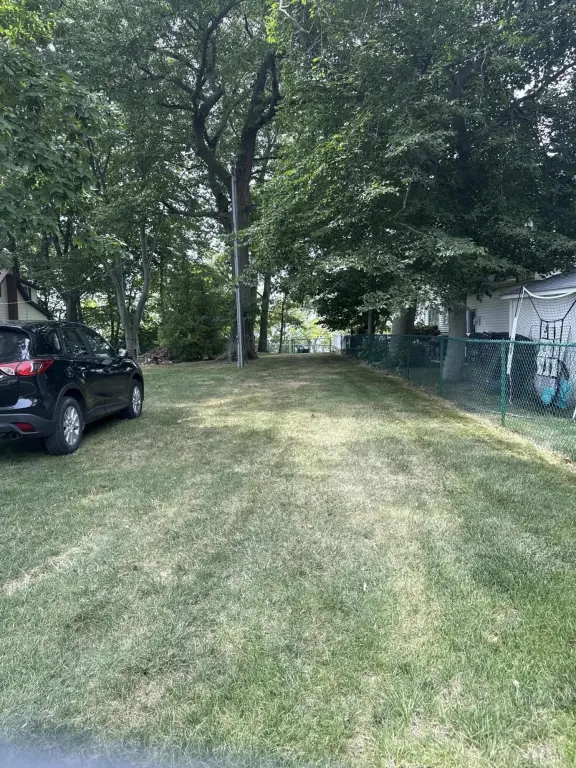 Picture 5