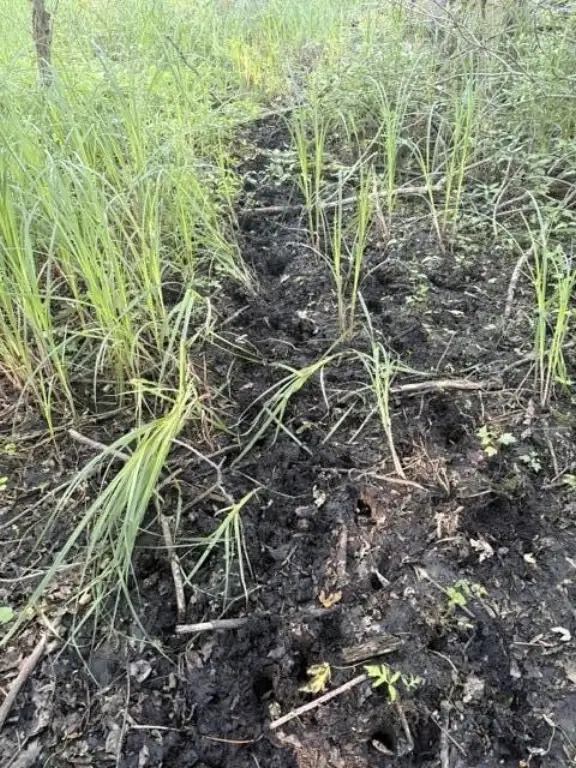 Picture 10