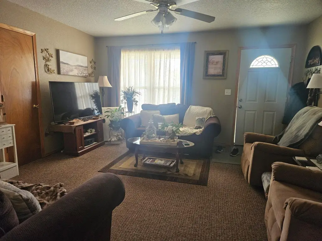 Picture 3