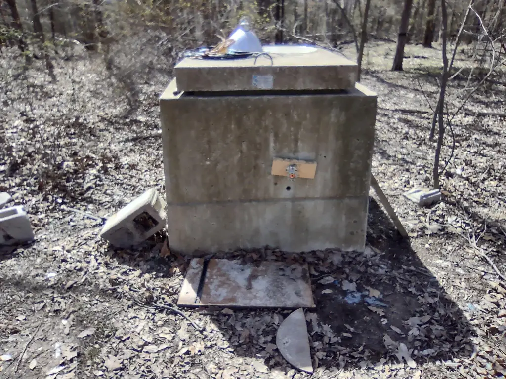 Picture 15