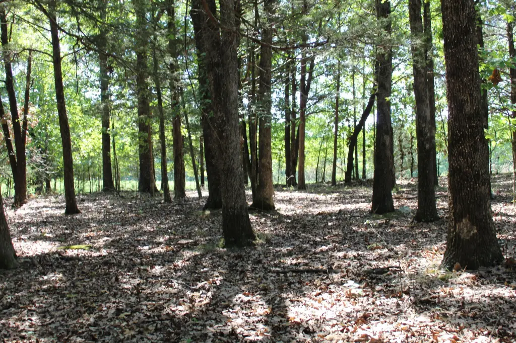 Picture 19