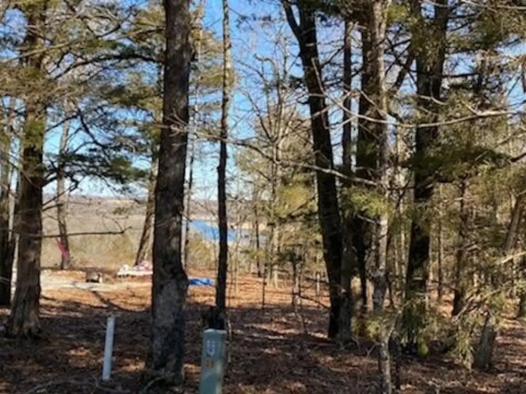 Picture 17