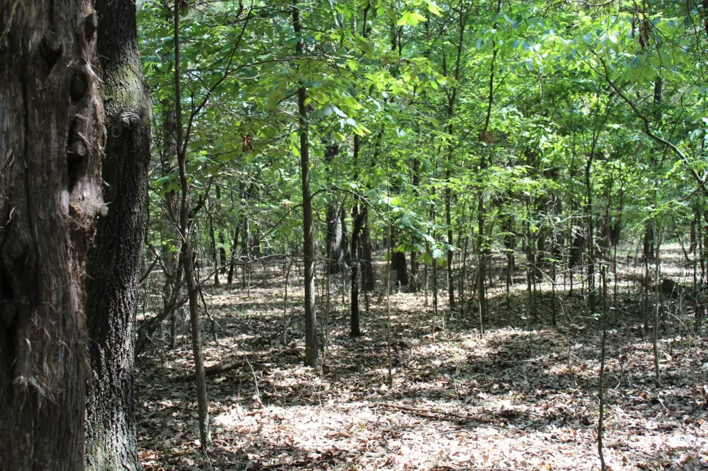 Picture 16