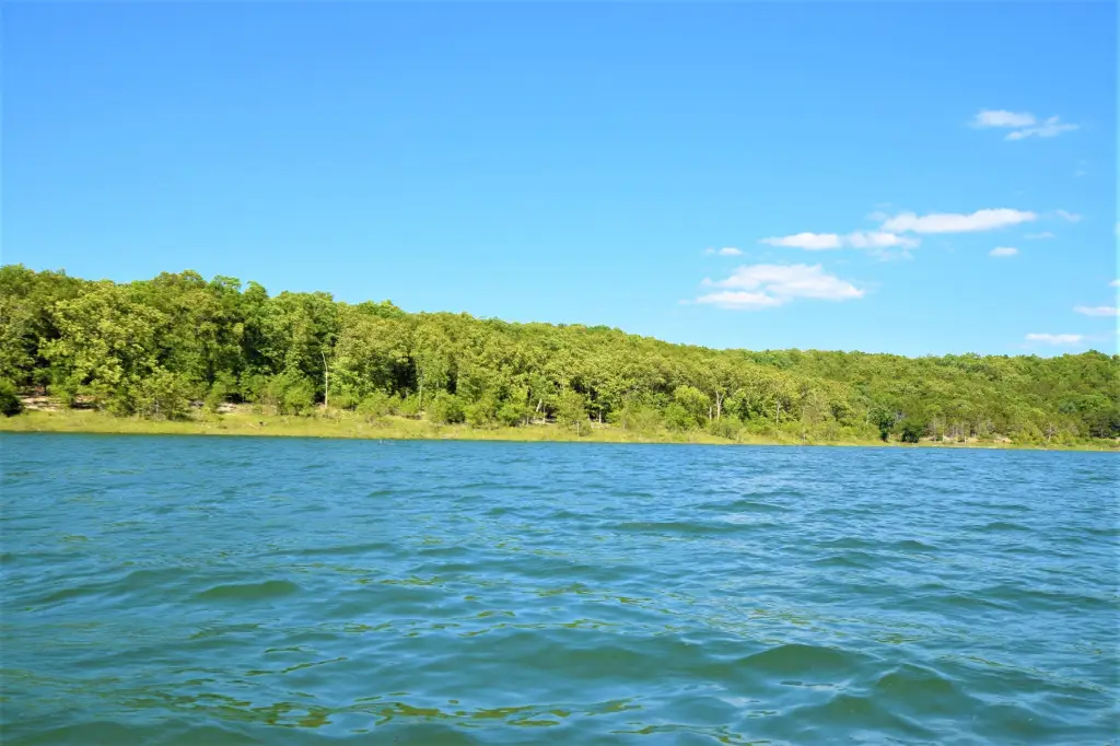 Picture 6