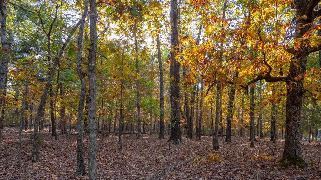 Picture 59